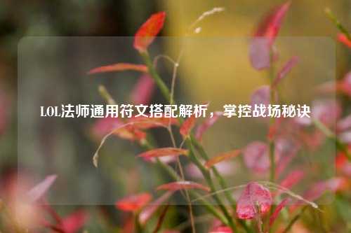 LOL法师通用符文搭配解析，掌控战场秘诀