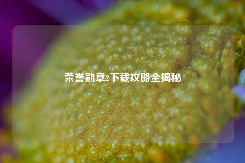 荣誉勋章2下载攻略全揭秘