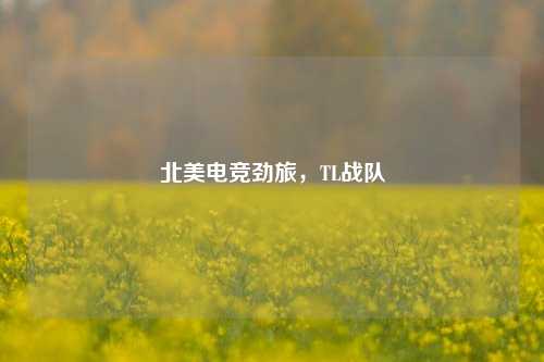 北美电竞劲旅，TL战队