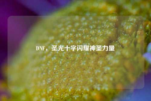 DNF，圣光十字闪耀神圣力量