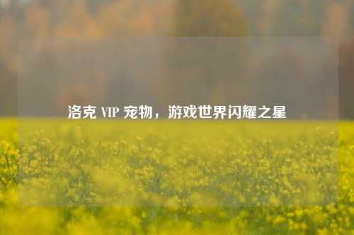洛克 VIP 宠物，游戏世界闪耀之星