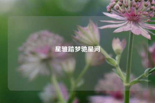 星骓踏梦驰星河