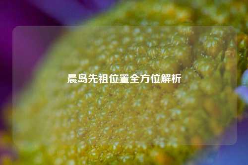 晨岛先祖位置全方位解析