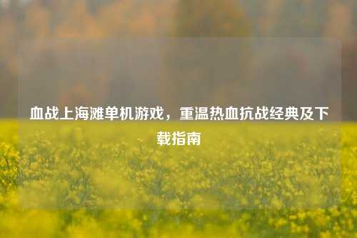 血战上海滩单机游戏，重温热血抗战经典及下载指南