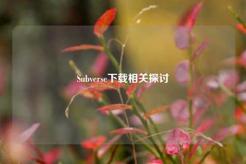 Subverse下载相关探讨