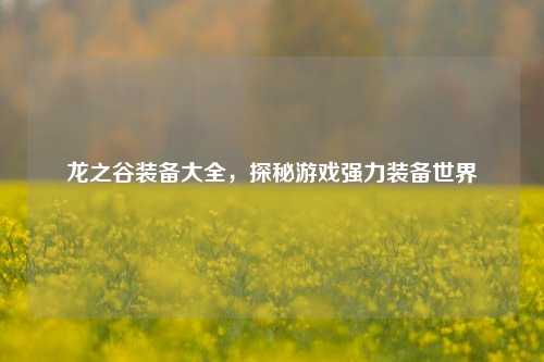 龙之谷装备大全，探秘游戏强力装备世界