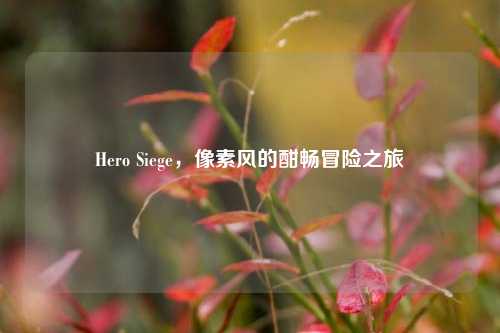 Hero Siege，像素风的酣畅冒险之旅