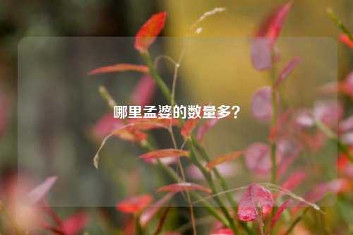 哪里孟婆的数量多？