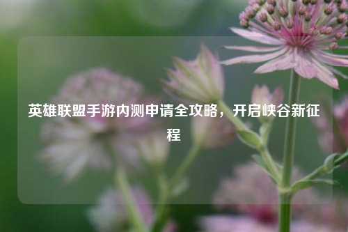 英雄联盟手游内测申请全攻略，开启峡谷新征程
