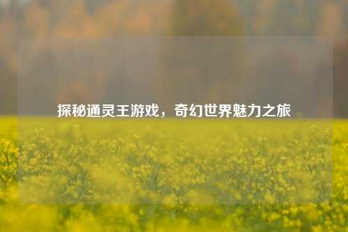 探秘通灵王游戏，奇幻世界魅力之旅