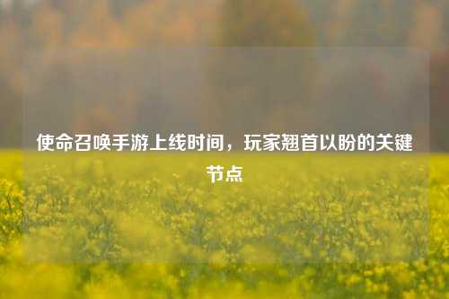 使命召唤手游上线时间，玩家翘首以盼的关键节点