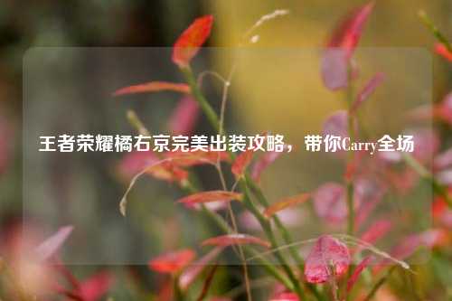王者荣耀橘右京完美出装攻略，带你Carry全场