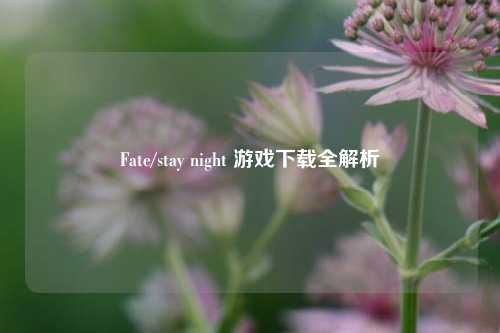 Fate/stay night 游戏下载全解析