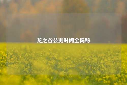 龙之谷公测时间全揭秘